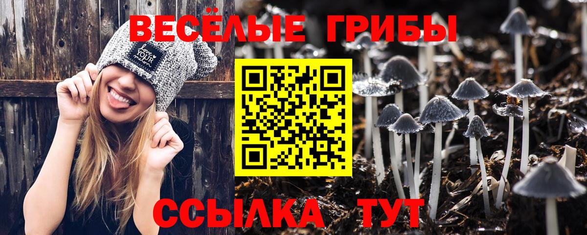 Галлюциногенные грибы Psilocybine cubensis Аша