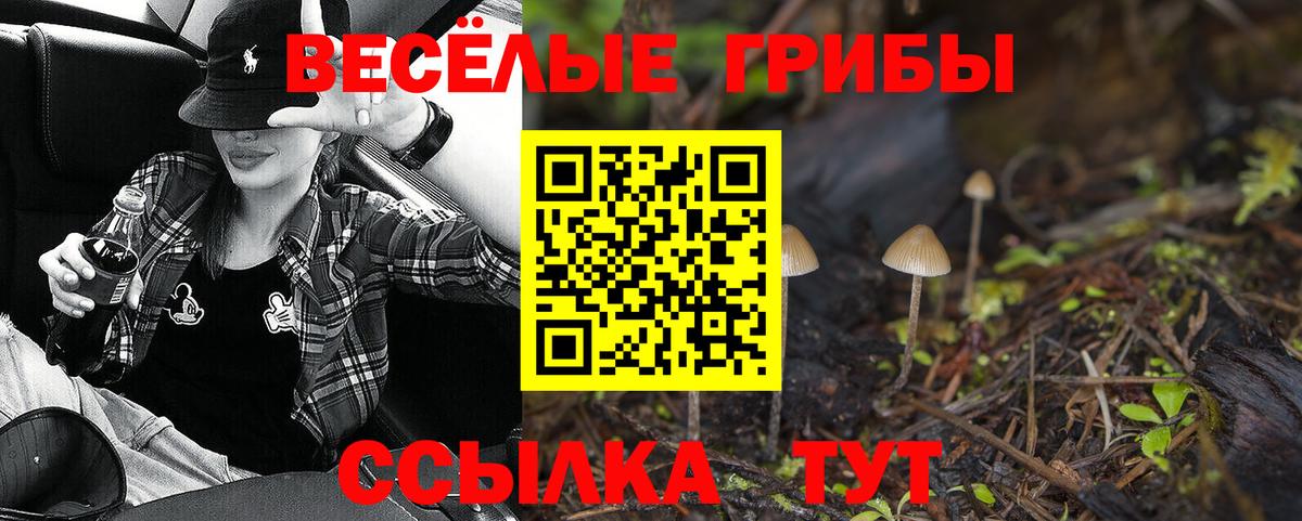 Аша  Галлюциногенные грибы Psilocybe  Галлюциногенные грибы Psilocybine cubensis  Вход с VPN 